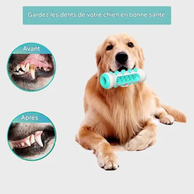 Coco Pup Jouet à mâcherbrosse pour chien