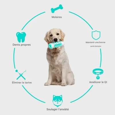 Coco Pup Jouet à mâcherbrosse pour chien