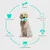 Coco Pup Jouet à mâcherbrosse pour chien