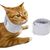 Coco Pup Collerette  pour chat et chien