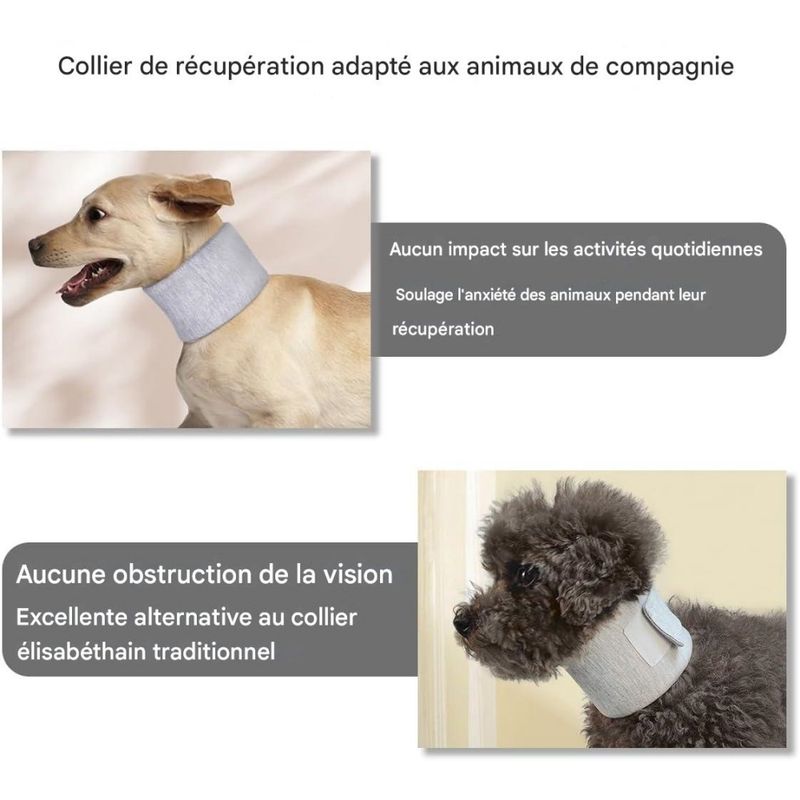 Coco Pup Collerette  pour chat et chien