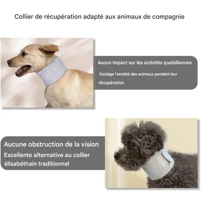 Coco Pup Collerette  pour chat et chien Gris