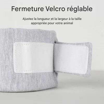Coco Pup Collerette pour chat et chien Gris