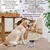 Lamina Care - Supplément contre l'infection urinaire