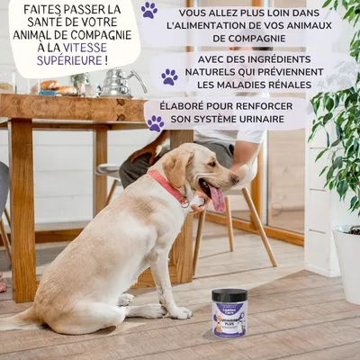 Lamina Care - Supplément contre l'infection urinaire