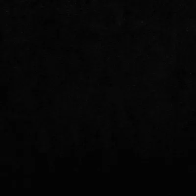 vidaXL Canapé pour Chien – Lit Douillet