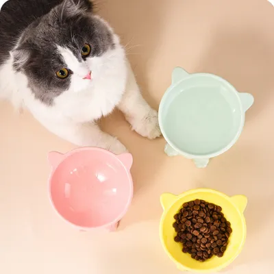 PetTribes Bol peu profond pour chat - Céramique stable & mignonne