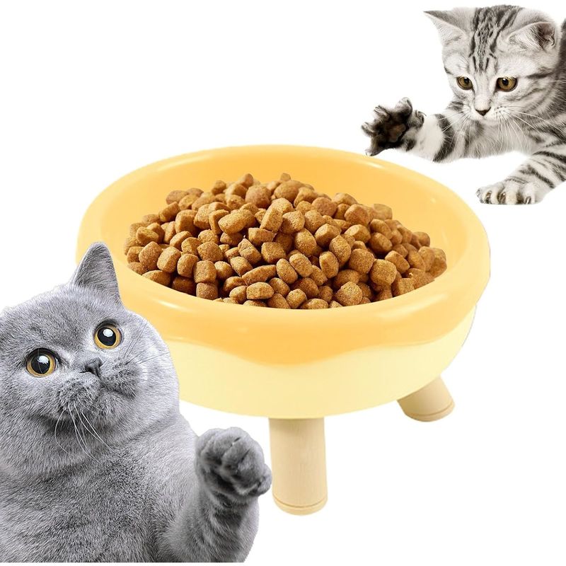 PetTribes Gamelle Surélevée Inclinée pour Chat