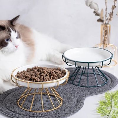 PetTribes Lot de 2 Gamelles surélevées en Céramique pour Chat