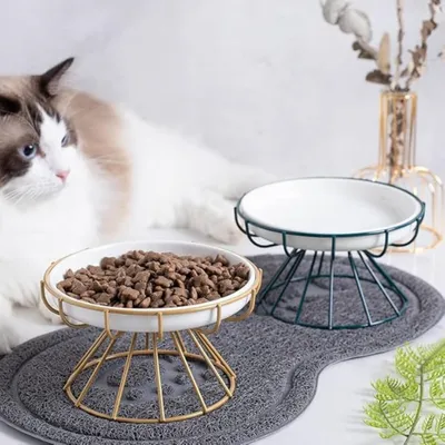 PetTribes Lot de 2 Gamelles surélevées en Céramique pour Chat