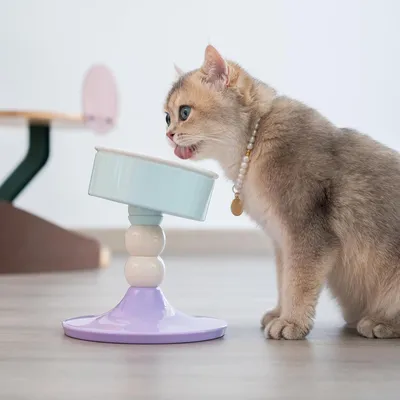 PetTribes Gamelle Surélevée Réglable Chat/Chien - Céramique