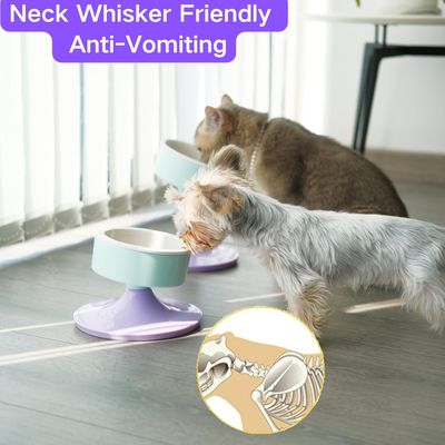 PetTribes Gamelle Surélevée Réglable Chat/Chien - Céramique