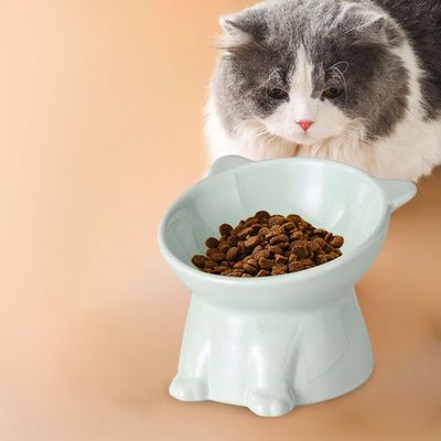 PetTribes Bol peu profond pour chat - Céramique stable & mignonne