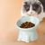 PetTribes Bol peu profond pour chat - Céramique stable & mignonne