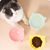 PetTribes Bol peu profond pour chat - Céramique stable & mignonne
