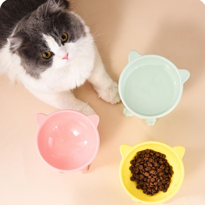 PetTribes Bol peu profond pour chat - Céramique stable & mignonne