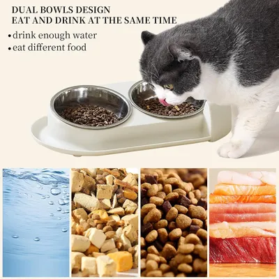 PetTribes Gamelle chat inclinée 15° - Anti-fuite - Acier inox - Blanc