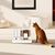 PetTribes Distributeur croquettes & eau chat/chien - 1.8L - Automatique