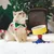 PetTribes Gamelle Surélevée Réglable Chat/Chien - Céramique