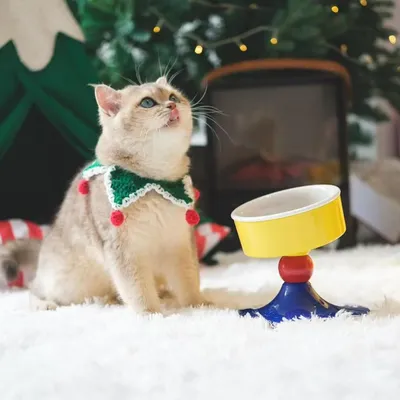 PetTribes Gamelle Surélevée Réglable Chat/Chien - Céramique