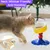 PetTribes Gamelle Surélevée Réglable Chat/Chien - Céramique
