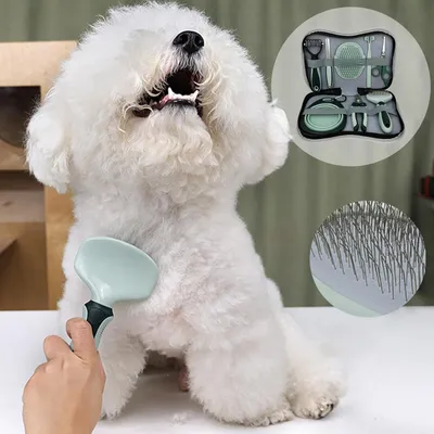 PetTribes Ciseaux & accessoires de beauté pour chats et chiens