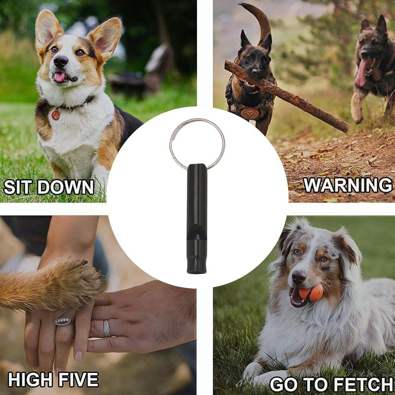 PetTribes  chien réglable - 2 pièces, rappel efficace
