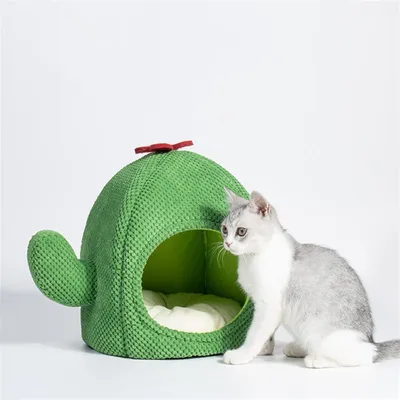 PetTribes Cesta de cactus cálida y cerrada para gatos/perros