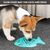 PetTribes Gamelle Ralentisseur de Nourriture pour Chien et Chat