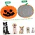 PetTribes Tapis de Nourrissage Anti-Stress pour Chien - Forme Citrouille
