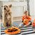 PetTribes Tapis de Nourrissage Anti-Stress pour Chien - Forme Citrouille