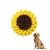 PetTribes Tapis Renifleur Puzzle pour Chien - Alimentation Lente et Ludique