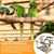 PetTribes Aire de Jeu Portable pour Perroquet et Perruche avec Jouets