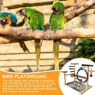 PetTribes Aire de Jeu Portable pour Perroquet et Perruche avec Jouets