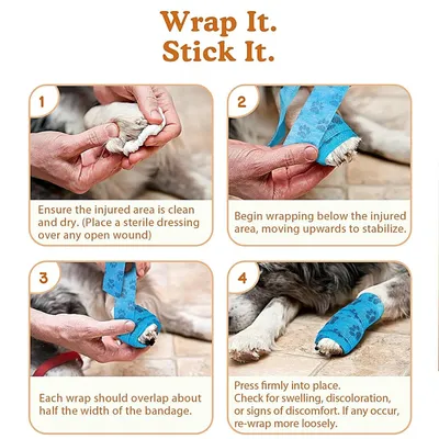 PetTribes Chaussure de protection bandage pour animal blessé