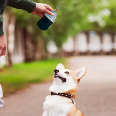 PetTribes Vaso de agua para senderismo - Para perros/gatos, 400 ml