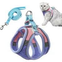 PetTribes Harnais réglable pour chat - Avec laisse et bandes réfléchissante