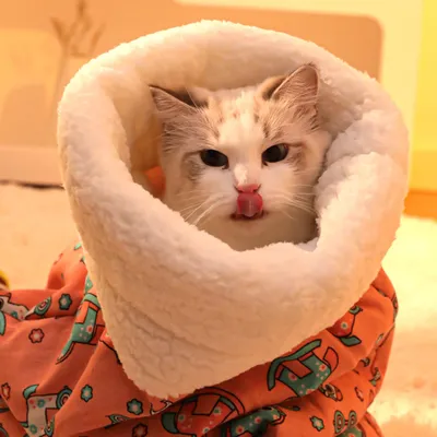 PetTribes Nid d'hiver semi-fermé pour petit animal