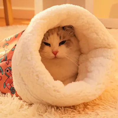 PetTribes Nid d'hiver semi-fermé pour petit animal