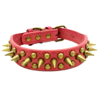 Must&Co - Collier style cuir à piques pour chien