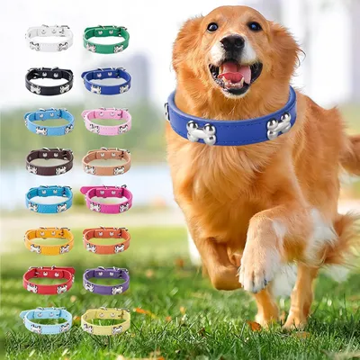 PetTribes Collier classique chien - Cuir synthétique confortable - L