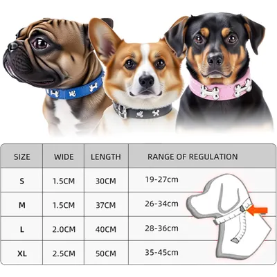 PetTribes Collier classique chien - Cuir synthétique confortable - L