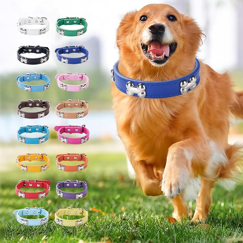 PetTribes Collier classique chien - Cuir synthétique confortable - XL