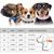 PetTribes Collier classique chien - Cuir synthétique confortable - XL