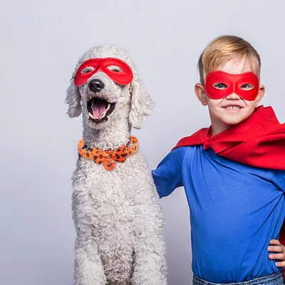 PetTribes Collier Halloween pour Chien - Nœud papillon et grelot