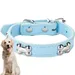 PetTribes Collier classique chien - Cuir synthétique confortable - M