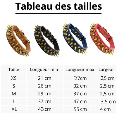 Must&Co - Collier en cuir à piques pour chien