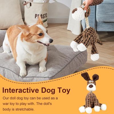 PetTribes Peluche dentaire chien - Résistante et interactive