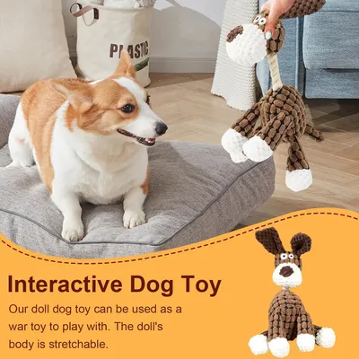 PetTribes Peluche dentaire chien - Résistante et interactive