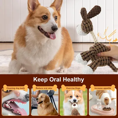 PetTribes Peluche dentaire chien - Résistante et interactive